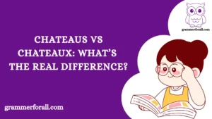 Chateaus vs Chateaux