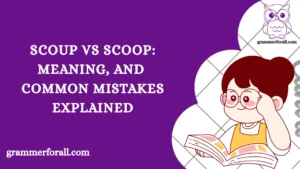 Scoup vs Scoop