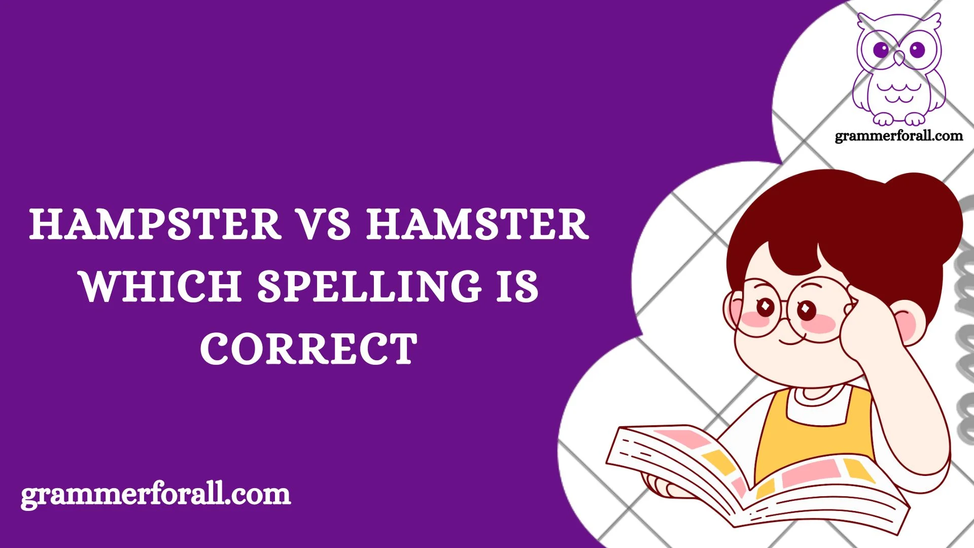 Hampster vs Hamster
