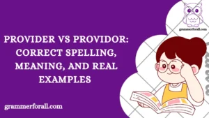 Provider vs Providor